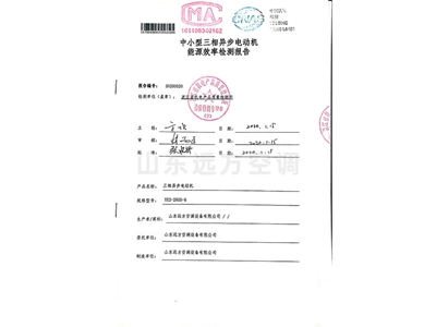 中小型三相異步電動(dòng)機(jī)能源效率檢測(cè)報(bào)告